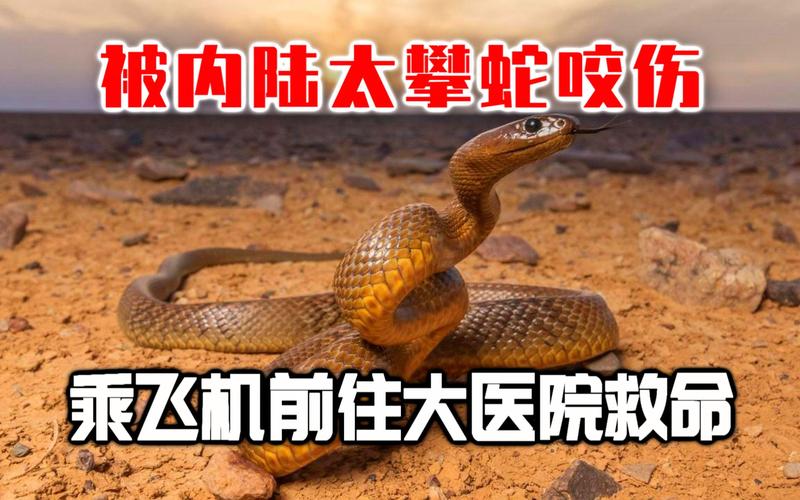 新澳今天最新消息和男子在湖边被蛇咬伤与男子在湖边被蛇咬伤视频