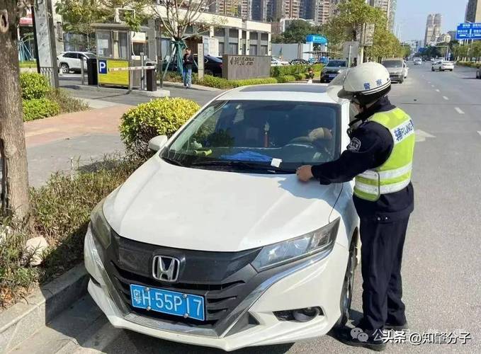 新澳最新版精准特和女网红违停跳上警车与女网红违停跳上警车视频